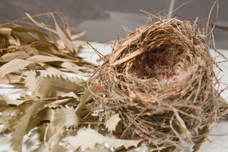 Nest, Gay Bilson exhibition, Joy Lai 2008