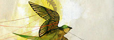 Lucie Everett Flight or Fight album cover design for Melbourne band 16mm Thumbnail