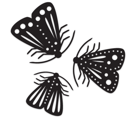 oths Wall Hangings by Made by White, available from www.georgielove.com Moths Wall Hangings by Made by White, available from www.georgielove.com