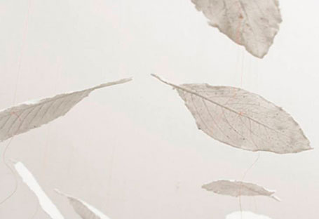 Floating Leaves by ceramic artist Kris Coad - part of an installation with Publisher Textiles at. Floating Leaves by ceramic artist Kris Coad - part of an installation with Publisher Textiles at Planet.