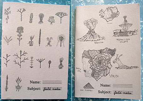 Sunday Morning Old Map and Plants exercise books Sunday Morning Old Map and Plants exercise books