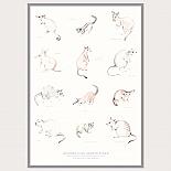 Marsupials A3 Print by Amy Borrell