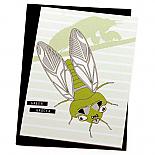 Green Grocer Cicada Greeting Card by Non-Fiction
