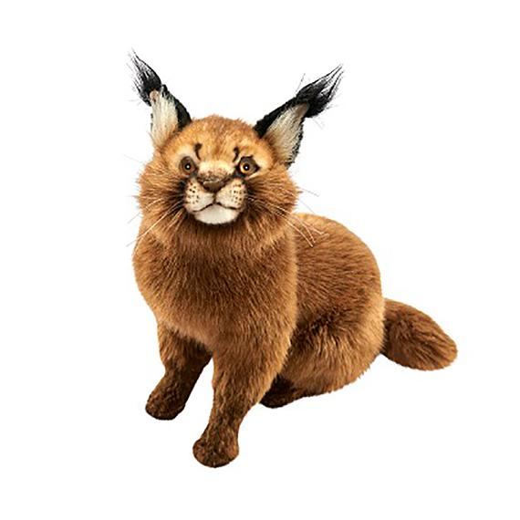 Caracal plush deals
