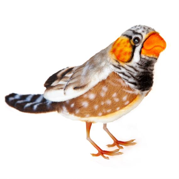 Zebra finch plush discount