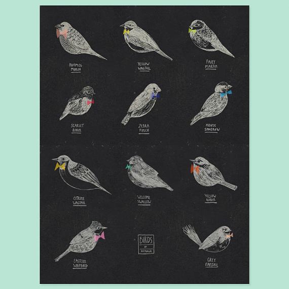 Birds of Australia A4 Print by Amy Borrell