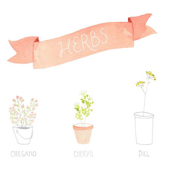 Detail from Herbs A4 Print by Amy Borrell